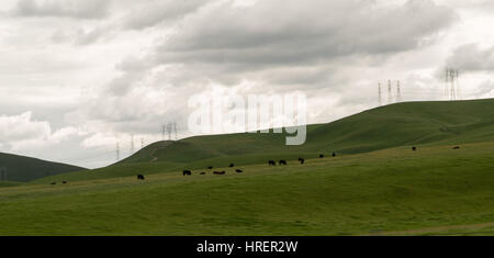 San Joaquin Valley im Frühling Stockfoto