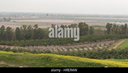 San Joaquin Valley im Frühling Stockfoto