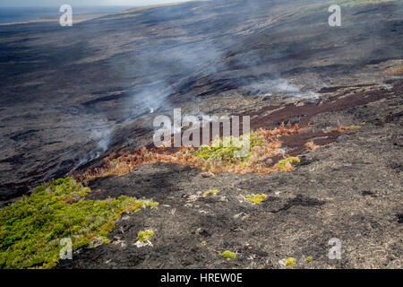 Luftaufnahme der übrigen Stände des Waldes zwischen frischen Lavaströmen und Emissionen von vulkanischen Dämpfe an den Hängen des aktiven Vulkans Kilauea auf Big Stockfoto