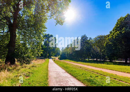 Landschaft der Wanderweg im Hyde Park an einem sonnigen Tag Stockfoto