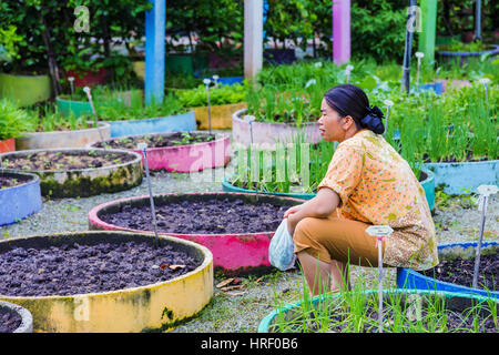 PATTAYA, THAILAND Thai Farm arbeiten, ausruhen und sitzen umgeben von bunten Übertöpfen in einer natürlichen Umgebung am 26. Juni 2014 Stockfoto
