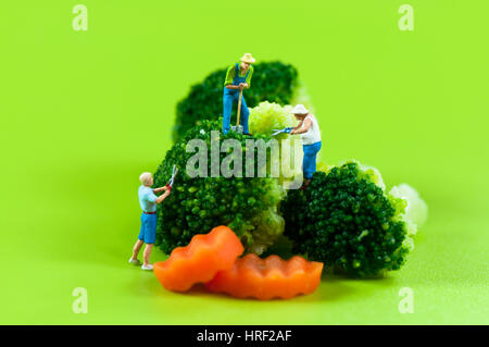 Figur-Bauern ernten Brokkoli Stockfoto