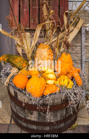 Ein Kürbis und Kürbis fallen Display in der Innenstadt von Wooster, Ohio, USA. Stockfoto