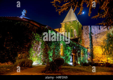 Kirche der Heiligen Mutter Gottes Ruzica in der Nacht, Belgrad, Serbien. Stockfoto