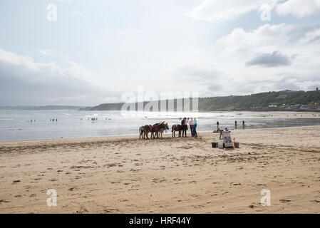 Esel am Strand von Scarborough, North Yorkshire, England. Stockfoto