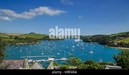 Fluss Dart Devon Blick vom Hügel Stockfoto