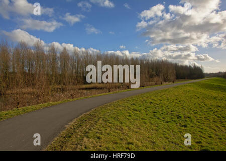 Fahrrad und Wanderweg mit Lane von Bäumen auf dem Deich entlang der Schelde, Gent, Belgien Stockfoto