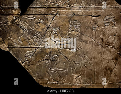 Grab Relief Fütterung des alten Reiches Krane 5. Dynastie 2500-2350 v. Chr. Sakkara Ägypten ägyptische Stockfoto
