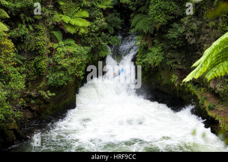 Ein Wildwasser-Kajakfahrer laufen schnelle auf dem Kaituna River in Neuseeland Stockfoto