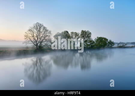 Bäume im Nebel an der Küste in der Morgendämmerung, Fluss Trog, mittlere Elbe-Biosphärenreservat, Dessau, Sachsen-Anhalt, Deutschland Stockfoto