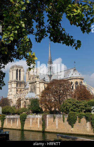 Notre Dame, Ile de Städte, Paris, Frankreich Stockfoto