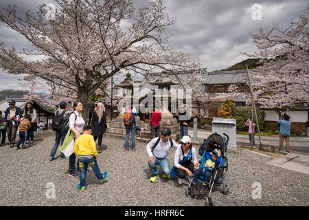 Touristen genießen sonniges Wetter und Fotografieren unter den Bäumen mit Kirschblüten, Sakura, in Kiyomizu-Dera, buddhistischer Tempel in Kyoto, Japan Stockfoto