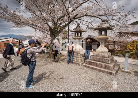 Touristen genießen sonniges Wetter und Fotografieren unter den Bäumen mit Kirschblüten, Sakura, in Kiyomizu-Dera, buddhistischer Tempel in Kyoto, Japan Stockfoto