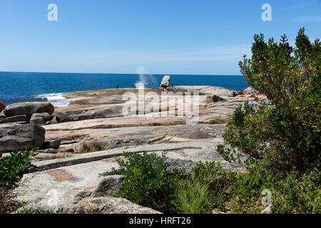 Das Blasloch Bicheno, Tasmanien, Australien Stockfoto