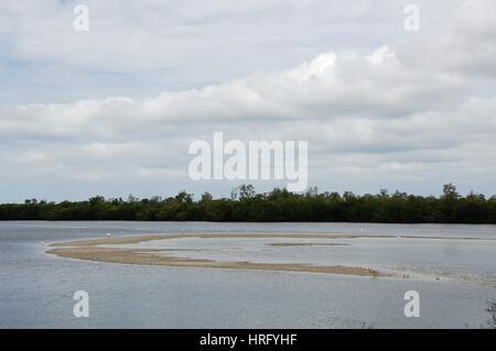 Ding Darling Park auf Sanibel Island in Florida Stockfoto