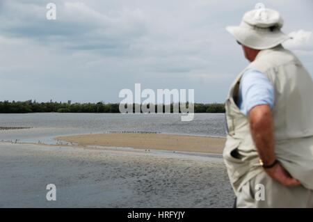 Ding Darling Park auf Sanibel Island in Florida Stockfoto
