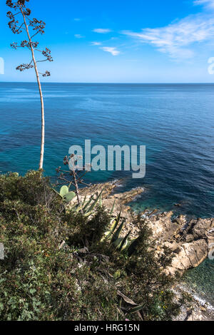 Blick auf die Küste von Sanremo mit blauem Meer, Agaven und Sukkulenten, Italien Stockfoto