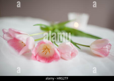 Rosa Tulpen liegen auf einem weißen Tuch vor Kerzen Stockfoto