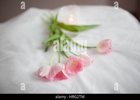 Rosa Tulpen liegen auf einem weißen Tuch vor Kerzen Stockfoto