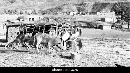 Bewegungsunschärfe in Lesotho Malealea Straßendorf in der Nähe von Berg und Himmel Stockfoto