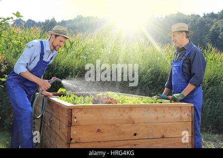 Vater und Sohn auf einem Hochbeet Pflanzen in einem Garten Gartenarbeit Stockfoto