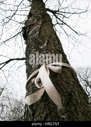 Roath, Cardiff, UK. 1. März 2017. Einwohner in Roath und Penylan haben gegen das Abholzen von 145 Bäume ausgesprochen. Baum Fällen stattfindet in vier Gärten an Roath Brook als Teil der neuen Flut Verteidigung Arbeit. Einheimische haben verlassen 'Sympathie' Karten und Noten von Protest am Zaun um die Standorte sowie die Kennzeichnung "verurteilt Bäume" mit goldenen Bändern. Bildnachweis: Craig Redmond/Alamy Live-Nachrichten Stockfoto