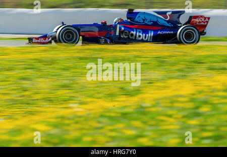 Barcelona, Spanien. 1. März 2017. Russische Formel 1 Fahrer Daniil Kvyat von Toro Rosso fährt vorbei Löwenzahn auf der Rennstrecke Circuit de Catalunya in Barcelona, Spanien, 1. März 2017. Alle Formel-1-Teams testen ihre neuen Autos in den nächsten zwei Wochen. Die neue Formel1 Saison startet am 26. März 2017 in Australien. Foto: Jens Büttner/Dpa-Zentralbild/Dpa/Alamy Live News Stockfoto