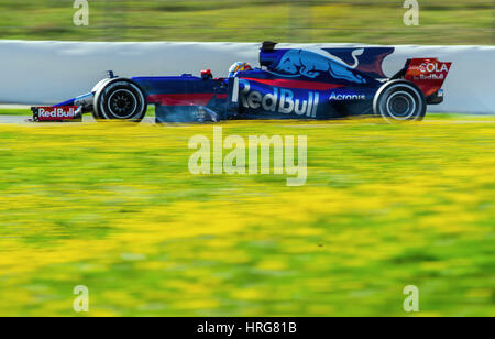 Barcelona, Spanien. 1. März 2017. Russische Formel 1 Fahrer Daniil Kvyat von Toro Rosso fährt vorbei Löwenzahn auf der Rennstrecke Circuit de Catalunya in Barcelona, Spanien, 1. März 2017. Alle Formel-1-Teams testen ihre neuen Autos in den nächsten zwei Wochen. Die neue Formel1 Saison startet am 26. März 2017 in Australien. Foto: Jens Büttner/Dpa-Zentralbild/Dpa/Alamy Live News Stockfoto