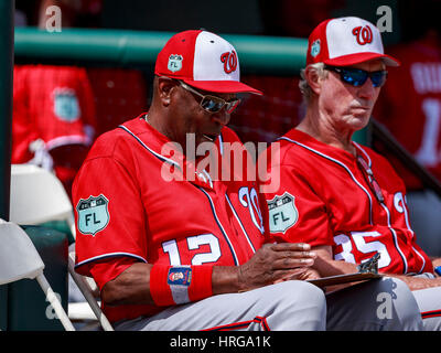 Joker Marchant Stadium. 1. März 2017. Florida, USA - Washington Nationals Manager Dusty Baker (12) bei Publix Field im Joker Marchant Stadium. Del Mecum/CSM/Alamy Live-Nachrichten Stockfoto