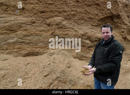 Gehrden, Deutschland. 22. Februar 2017. Landwirt Christoph Moeller hält Silage in seinen Händen vor einem Hügel Silomais auf dem Gelände einer Biogasanlage in Gehrden, Deutschland, 22. Februar 2017. Foto: Carmen Jaspersen/Dpa/Alamy Live News Stockfoto