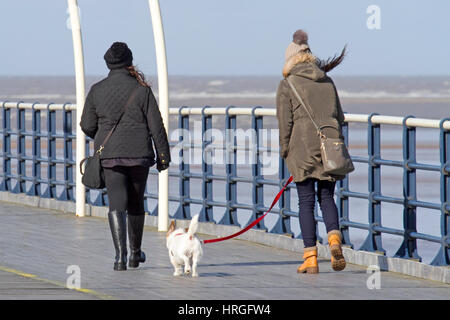 Großbritannien Wetter, Southport, Merseyside. 2. März 2017.  An einem wunderschönen sonnigen, aber windigen und kalten Tag spazieren Menschen bis zum Ende des Piers in Southport, Merseyside.  Nicht nur hat Southport 22 Meilen der Küste aber auch rühmt sich der Grad II verzeichnet Southport Pier, der ältesten eisernen Pier des Landes, steht seit über 150 Jahren.  Bildnachweis: Cernan Elias/Alamy Live-Nachrichten Stockfoto