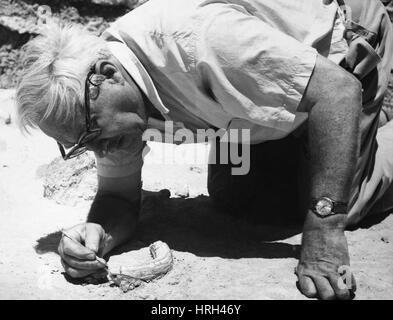 Louis Leakey, kenianische Archäologen Stockfoto