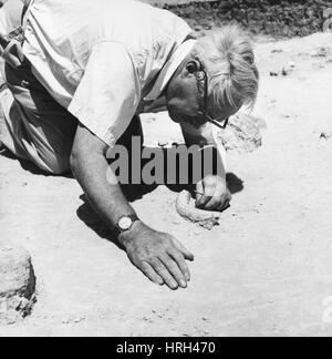 Louis Leakey, kenianische Archäologen Stockfoto