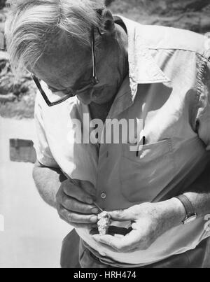 Louis Leakey, kenianische Archäologen Stockfoto