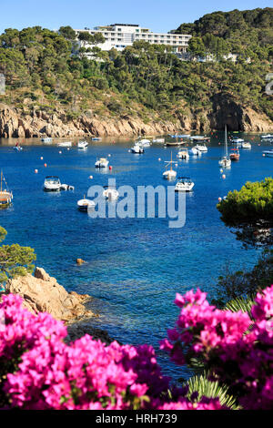 Aiguablava, Costa Brava, Spanien Stockfoto