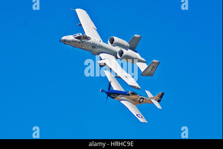 Heritage Flight, a-10 Warthog und p-51 Mustang Stockfoto