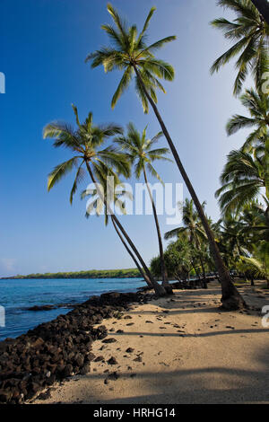 Holz- Tiki bei Pu'uhonua o Honaunau, Big Island, Hawaii, USA Stockfoto