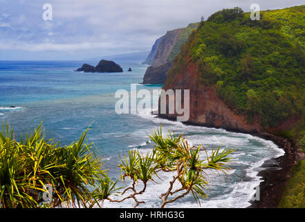 Pololu Black Sand Beach, North Kohala, Big Island, Hawaii Stockfoto