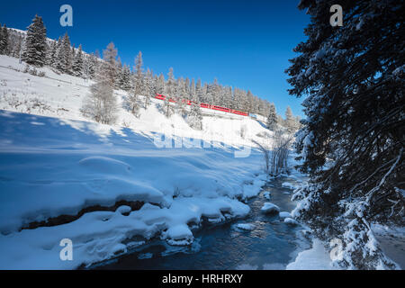 Rhätische Bahn auf Chapella Viadukt umgeben von verschneiten Wäldern, Schweiz, Schweizer Alpen, Engadin, Kanton Graubunde Stockfoto