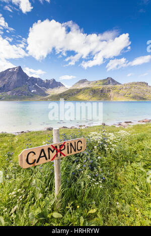 Grüne Wiesen und Blumen umrahmen das türkisfarbene Meer, umgeben von Gipfeln, Strandveien, Lofoten Inseln, Norwegen, Skandinavien Stockfoto