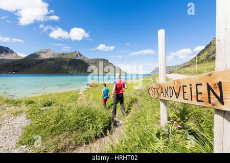 Wanderer auf Fußweg zwischen grünen Wiesen und türkisblauen Meer, Strandveien, Lofoten Inseln, Norwegen, Skandinavien Stockfoto