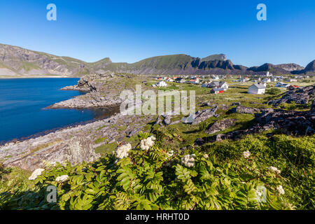 Grüne Wiesen Frame Dorf Sorland umgeben von Meer, Vaeroy Insel, Nordland county, Lofoten Inseln, Norwegen Stockfoto