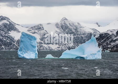 Schwimmenden Eisberg, Elephant Island, Süd-Shetland-Inseln, Antarktis, Polarregionen Stockfoto