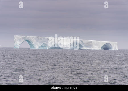 Schwimmenden Eisberg, Elephant Island, Süd-Shetland-Inseln, Antarktis, Polarregionen Stockfoto