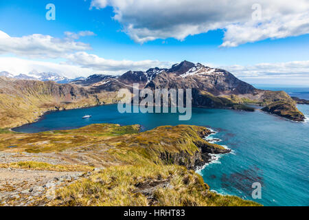 Blick über Godthul, Südgeorgien, Antarktis, Polarregionen Stockfoto