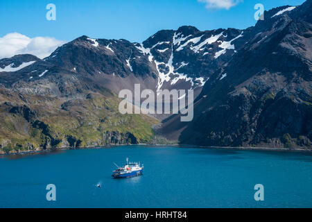 Kreuzfahrtschiff ankern in der Bucht von Godthul, Südgeorgien, Antarktis, Polarregionen Stockfoto