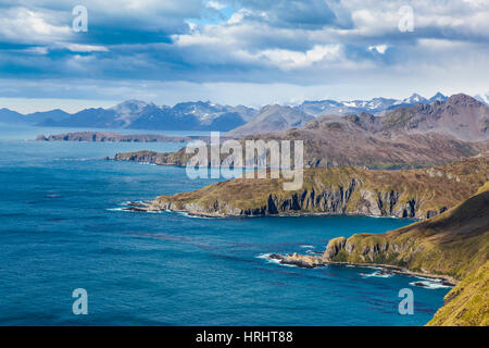 Blick über Godthul, Südgeorgien, Antarktis, Polarregionen Stockfoto