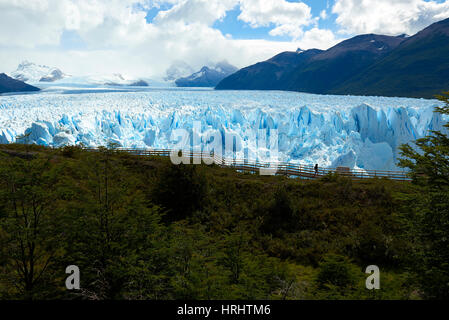 Silhouette von einem Besucher, des Durchgangs am Perito Moreno Glaciar, UNESCO, Patagonien, Argentinien Stockfoto