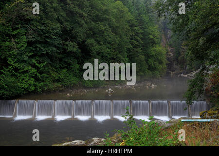 Capilano River Regional Park, Vancouver, Britisch-Kolumbien, Kanada, Nordamerika Stockfoto