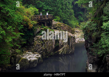 Capilano River Regional Park, Vancouver, Britisch-Kolumbien, Kanada, Nordamerika Stockfoto